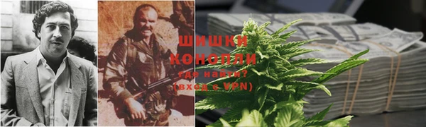 ПСИЛОЦИБИНОВЫЕ ГРИБЫ Алексеевка