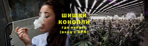 ПСИЛОЦИБИНОВЫЕ ГРИБЫ Алексеевка