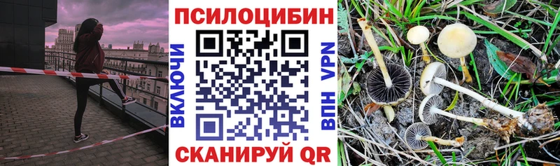 Псилоцибиновые грибы Psilocybine cubensis  Ефремов 