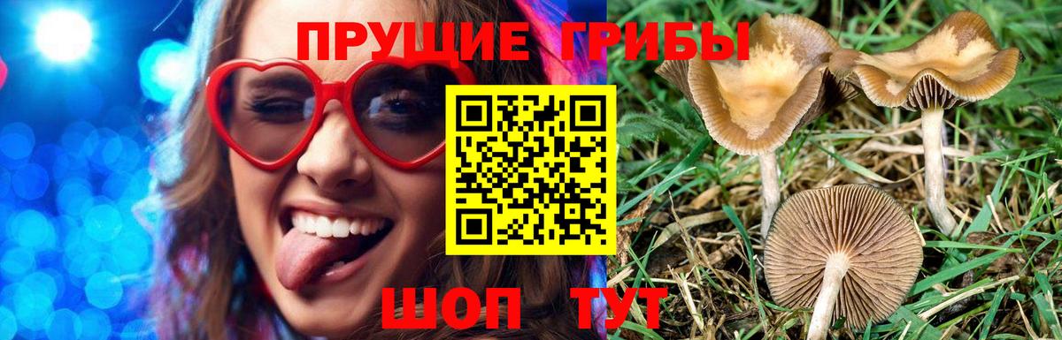 Ефремов  Галлюциногенные грибы Magic Shrooms  Вход с VPN 